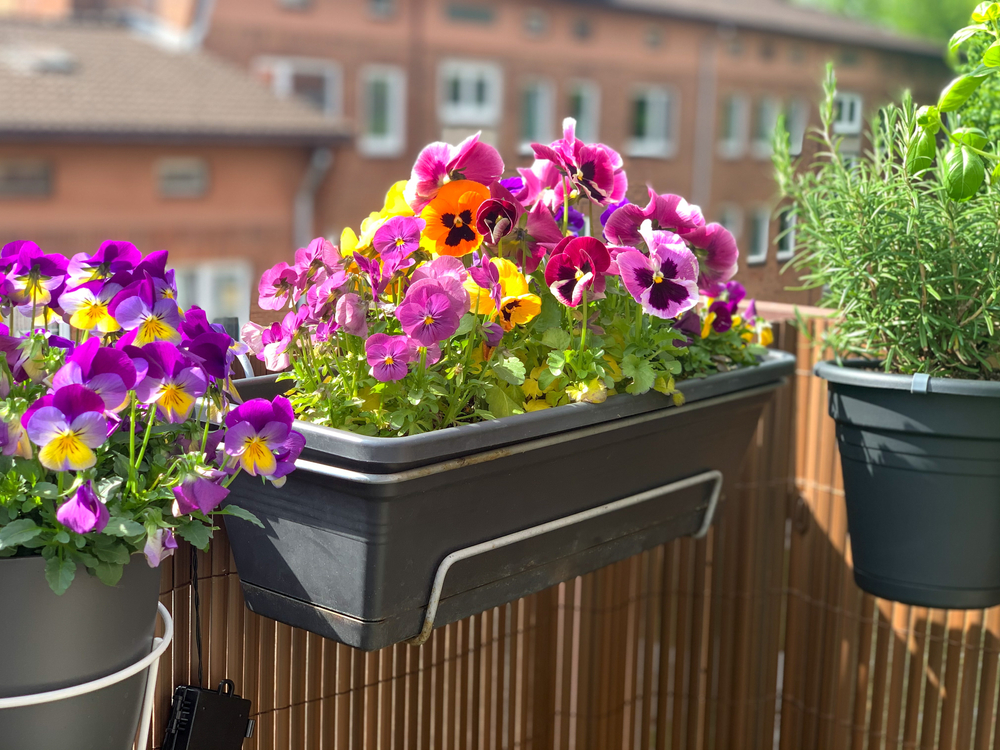 choisir bac à fleurs terrasse