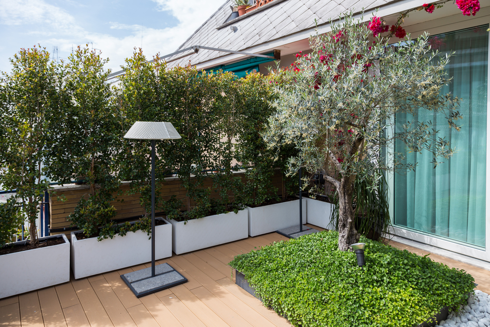 arbres terrasse comment faire